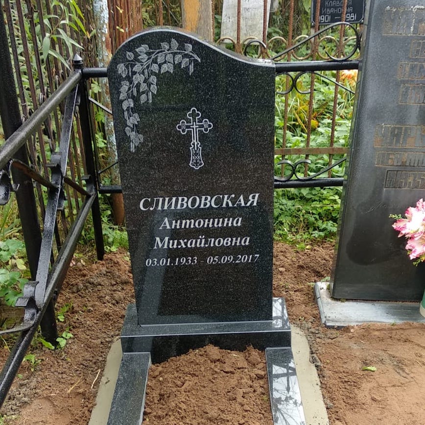 Вета березы для обрамления памятника