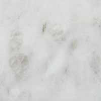 Мрамор Коелга