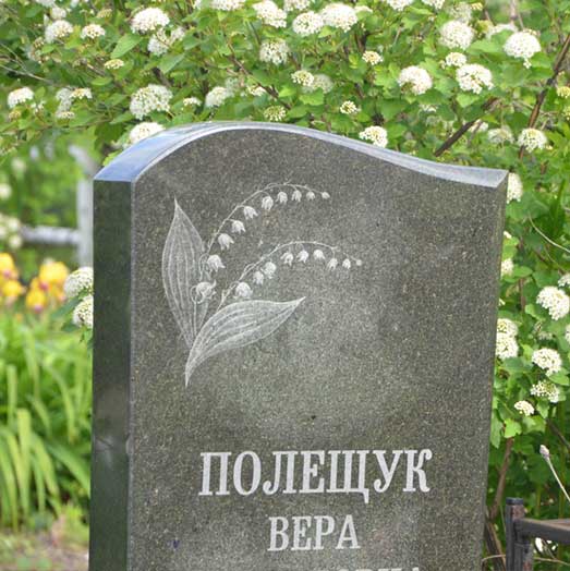 памятник волна 18002