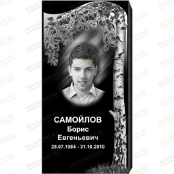 Рисунок 95100