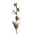 ЦВЕТОК 82032