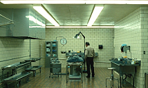 Что делать, если человек умер в больнице