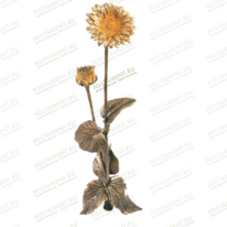 Цветы 82022
