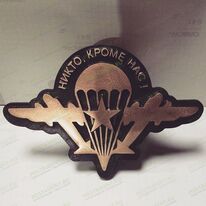 Значок ВДВ из бронзы 82163
