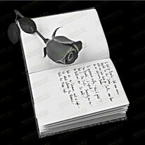 Книга с розой 91627