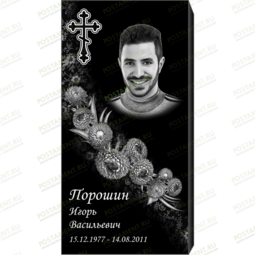 Рисунок 95138