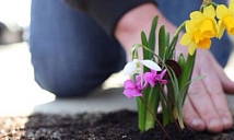 12 правил ухода за могилой и памятником