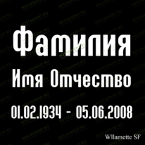Шрифт 91447