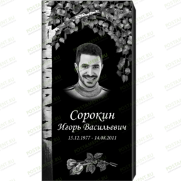 Рисунок 95102