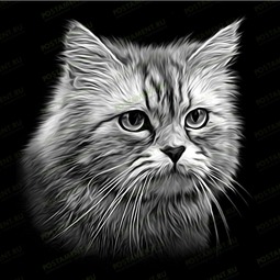 Изображение кота на памятник