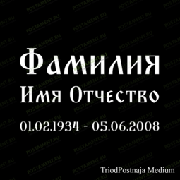 памятник ФИО 91429