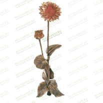 Цветы 82023